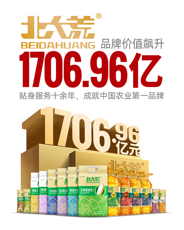 百億級北大荒 品牌咨詢全案